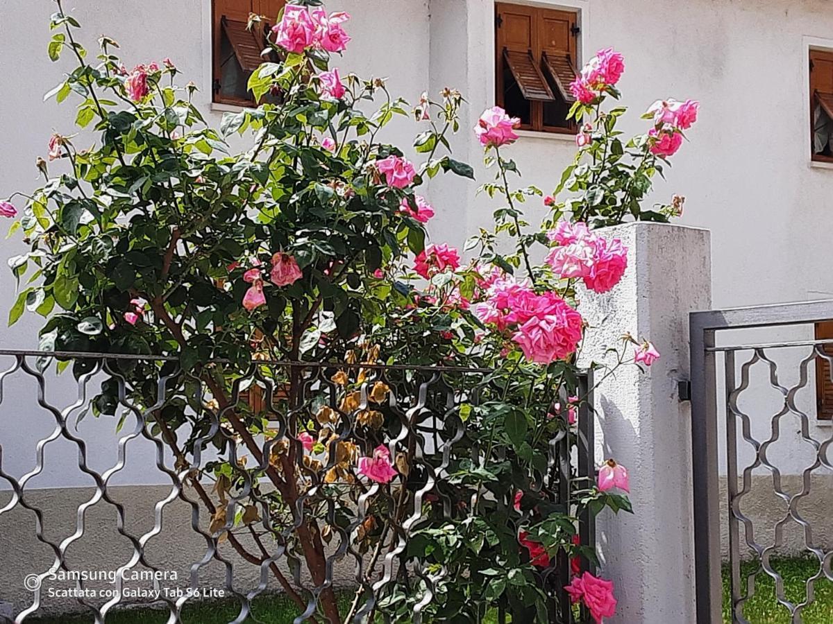 B&B Anna Rovere della Luna Dış mekan fotoğraf